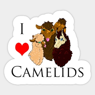 I Heart...Camelids! Sticker